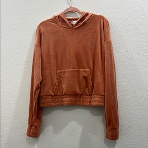 Love, Fire Soft Velveteen Cropped Dusty Rose Hooded Sweatshirt Size XL Nordstrom